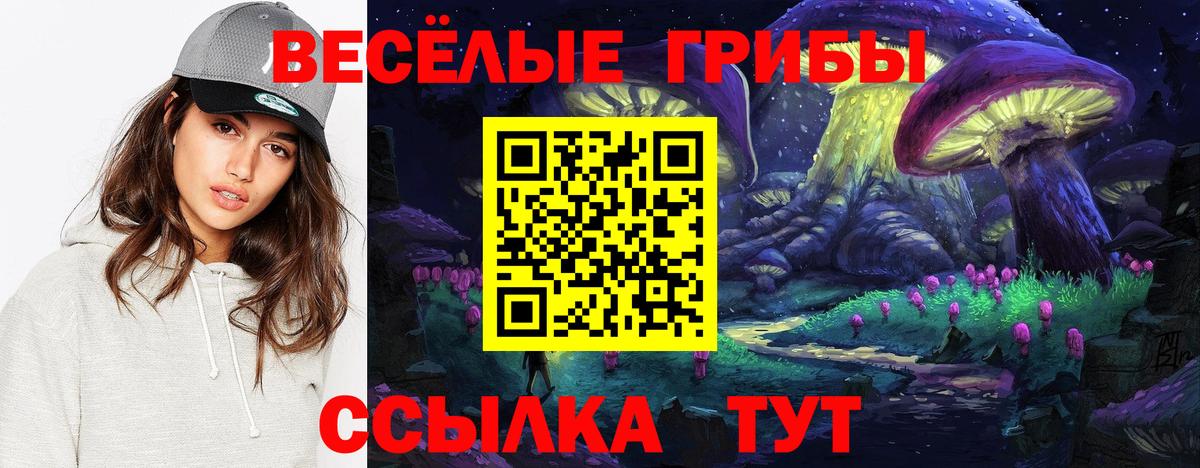 Щёкино  купить  цена  Вход с VPN  Галлюциногенные грибы прущие грибы 